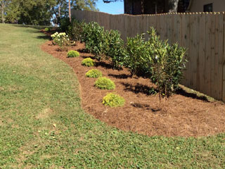 Landscaping of New Beds